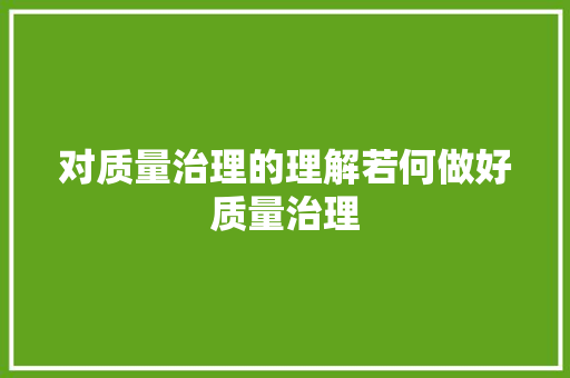 对质量治理的理解若何做好质量治理