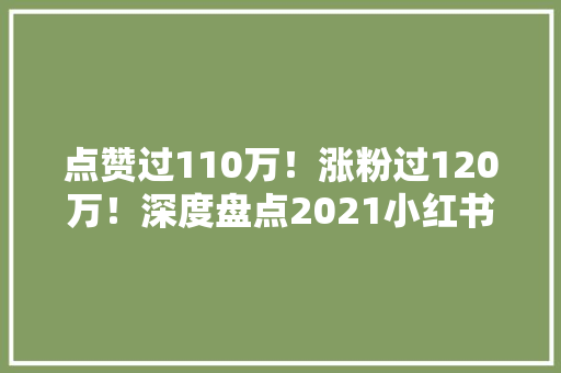 点赞过110万！涨粉过120万！深度盘点2021小红书爆款