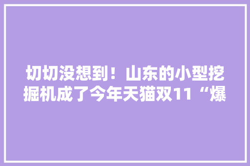 切切没想到！山东的小型挖掘机成了今年天猫双11“爆款”