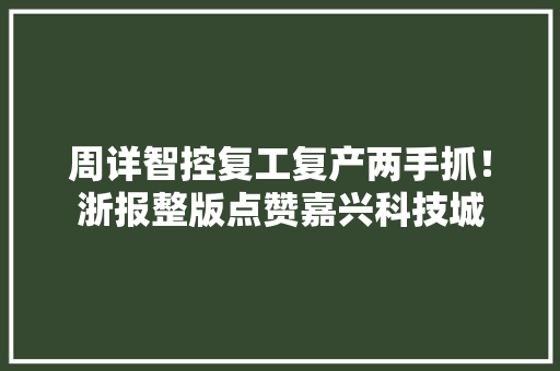 周详智控复工复产两手抓！浙报整版点赞嘉兴科技城