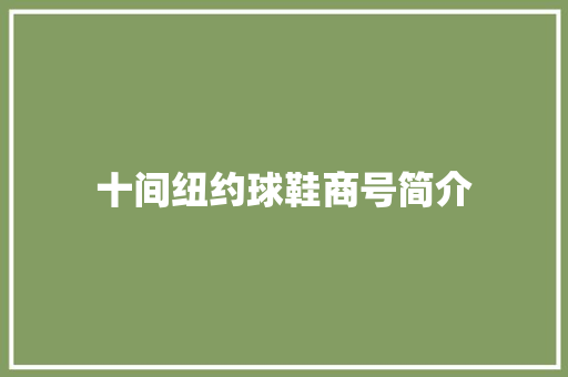 十间纽约球鞋商号简介,streetnewspaper。