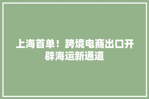上海首单！跨境电商出口开辟海运新通道,电商是做什么的。