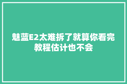 魅蓝E2太难拆了就算你看完教程估计也不会