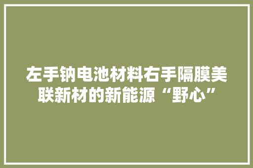 左手钠电池材料右手隔膜美联新材的新能源“野心”