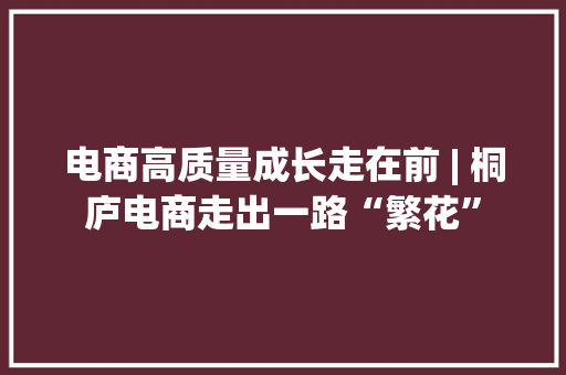 电商高质量成长走在前 | 桐庐电商走出一路“繁花”