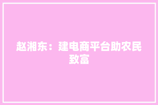 赵湘东：建电商平台助农民致富