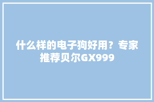 什么样的电子狗好用？专家推荐贝尔GX999