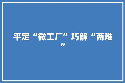 平定“微工厂”巧解“两难”