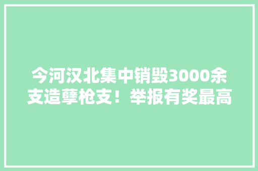 今河汉北集中销毁3000余支造孽枪支！举报有奖最高8万元