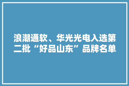 浪潮通软、华光光电入选第二批“好品山东”品牌名单