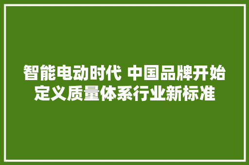 智能电动时代 中国品牌开始定义质量体系行业新标准