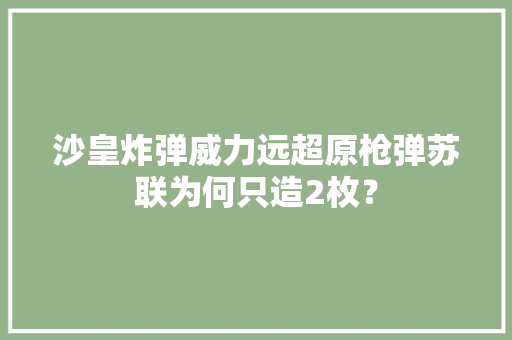 沙皇炸弹威力远超原枪弹苏联为何只造2枚？,核弹爆炸范围多少公里。