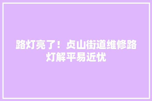路灯亮了！贞山街道维修路灯解平易近忧