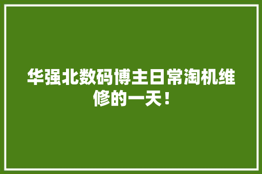 华强北数码博主日常淘机维修的一天！