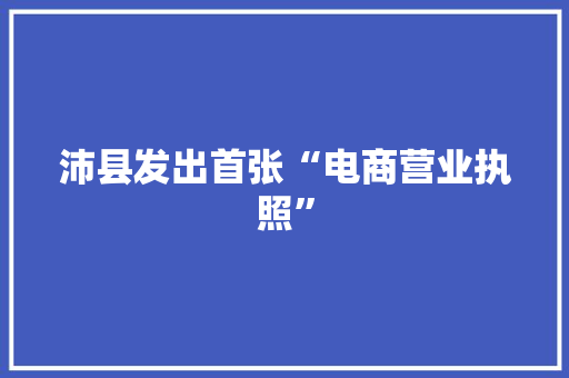 沛县发出首张“电商营业执照”