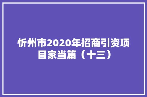 忻州市2020年招商引资项目家当篇（十三）