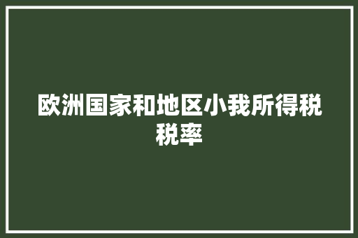 欧洲国家和地区小我所得税税率