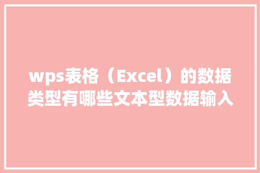 wps表格（Excel）的数据类型有哪些文本型数据输入技巧,数字流量计。