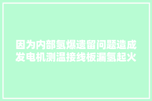 因为内部氢爆遗留问题造成发电机测温接线板漏氢起火的案例分析,测温度的仪器。