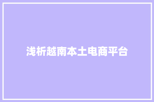 浅析越南本土电商平台