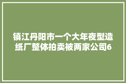 镇江丹阳市一个大年夜型造纸厂整体拍卖被两家公司6.1252亿买下