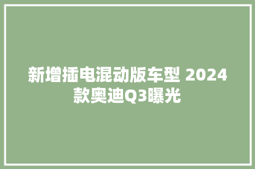 新增插电混动版车型 2024款奥迪Q3曝光