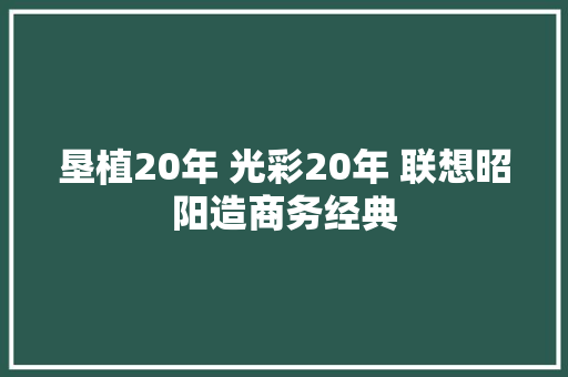 垦植20年 光彩20年 联想昭阳造商务经典