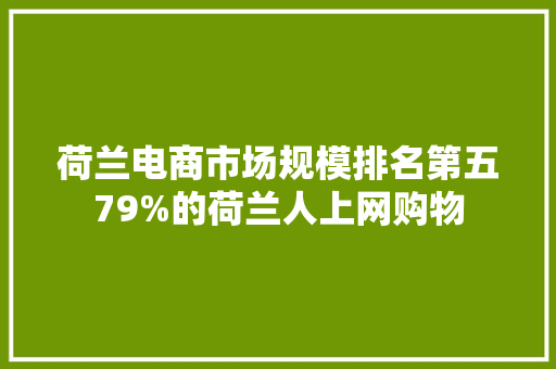 荷兰电商市场规模排名第五79%的荷兰人上网购物
