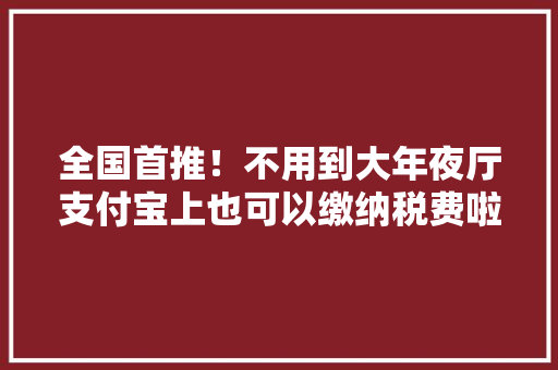 全国首推！不用到大年夜厅支付宝上也可以缴纳税费啦！