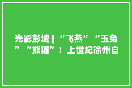光影彭城 | “飞燕”“玉兔”“熊猫”！上世纪徐州自立研发的“奢侈品”你家有吗？,徐州天气。