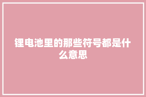 锂电池里的那些符号都是什么意思