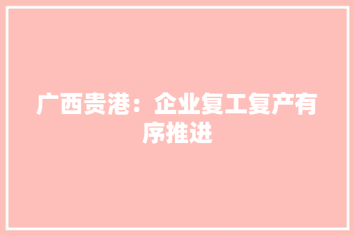 广西贵港：企业复工复产有序推进