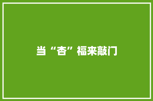 当“杏”福来敲门