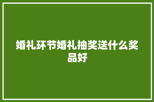 婚礼环节婚礼抽奖送什么奖品好