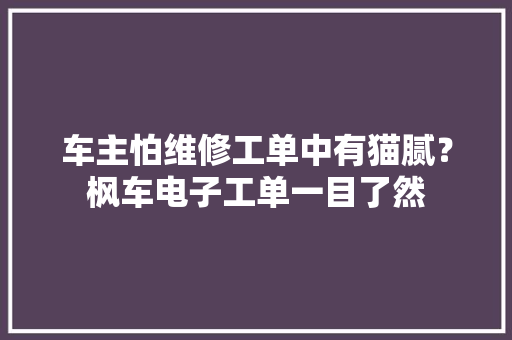 车主怕维修工单中有猫腻？枫车电子工单一目了然,车主贷。