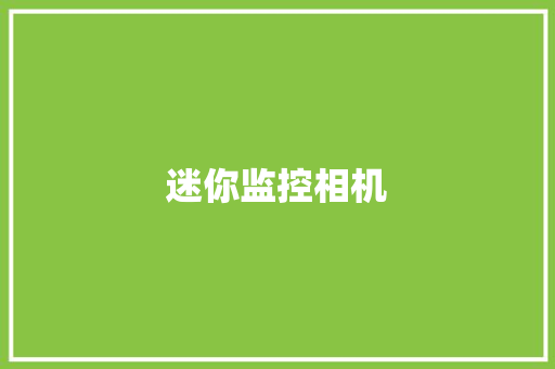 迷你监控相机