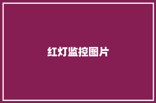 红灯监控图片