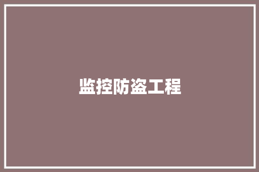 监控防盗工程