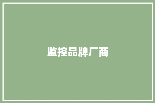 监控品牌厂商