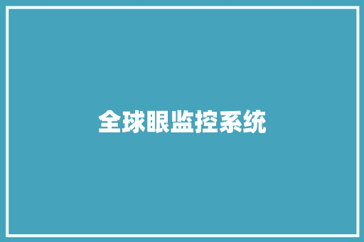 全球眼监控系统