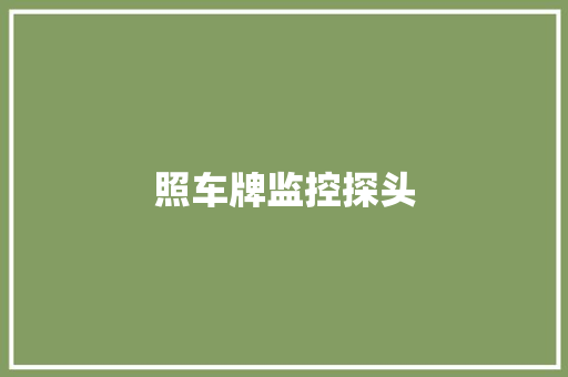 照车牌监控探头,摄像头麦克风音响一体。