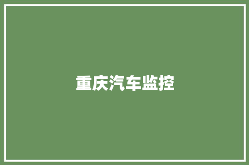 重庆汽车监控