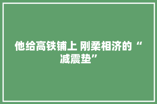 他给高铁铺上 刚柔相济的“减震垫”