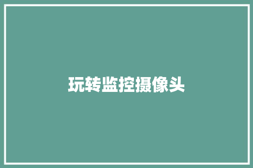 玩转监控摄像头,加密电话。