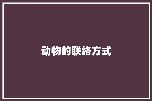 动物的联络方式