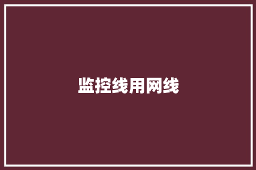 监控线用网线
