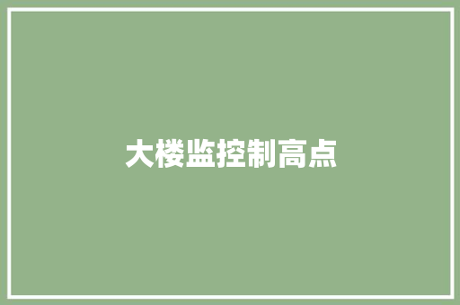 大楼监控制高点,数据防泄漏。