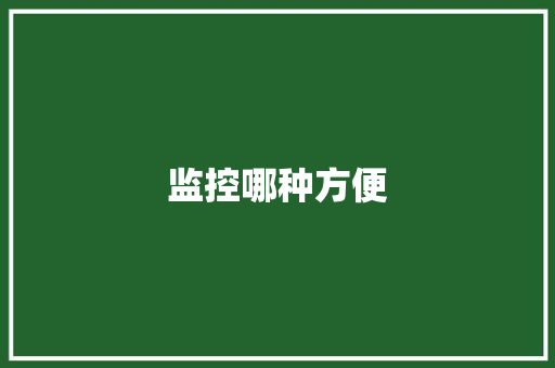 监控哪种方便