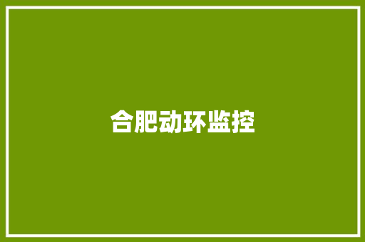 合肥动环监控,合肥天气。