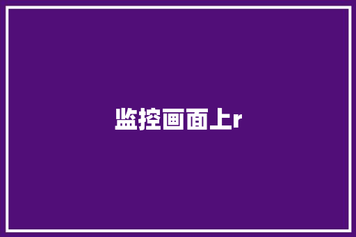 监控画面上r
